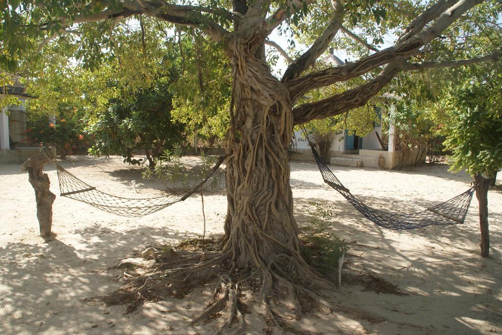 Bazouk Du Saloum Ecolodge Mar Lodj Habitación foto